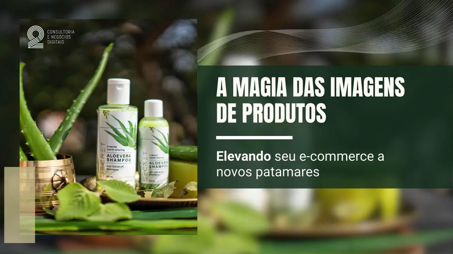 Leia mais sobre o artigo A Magia das Imagens de Produtos